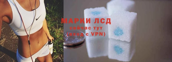 прущие грибы Бронницы