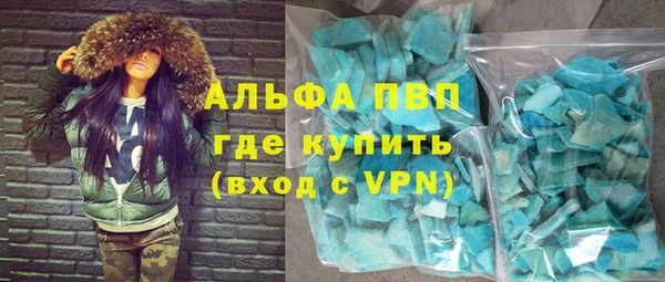 прущие грибы Бронницы