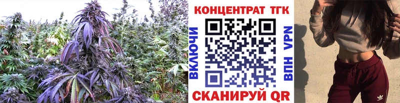как найти   Кимры  МЕГА tor  ТГК жижа 