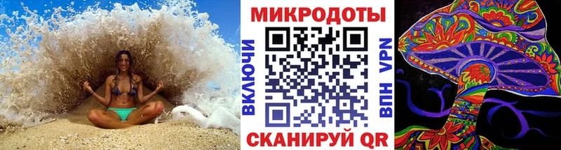 купить наркотики цена  Кимры  Псилоцибиновые грибы Cubensis 